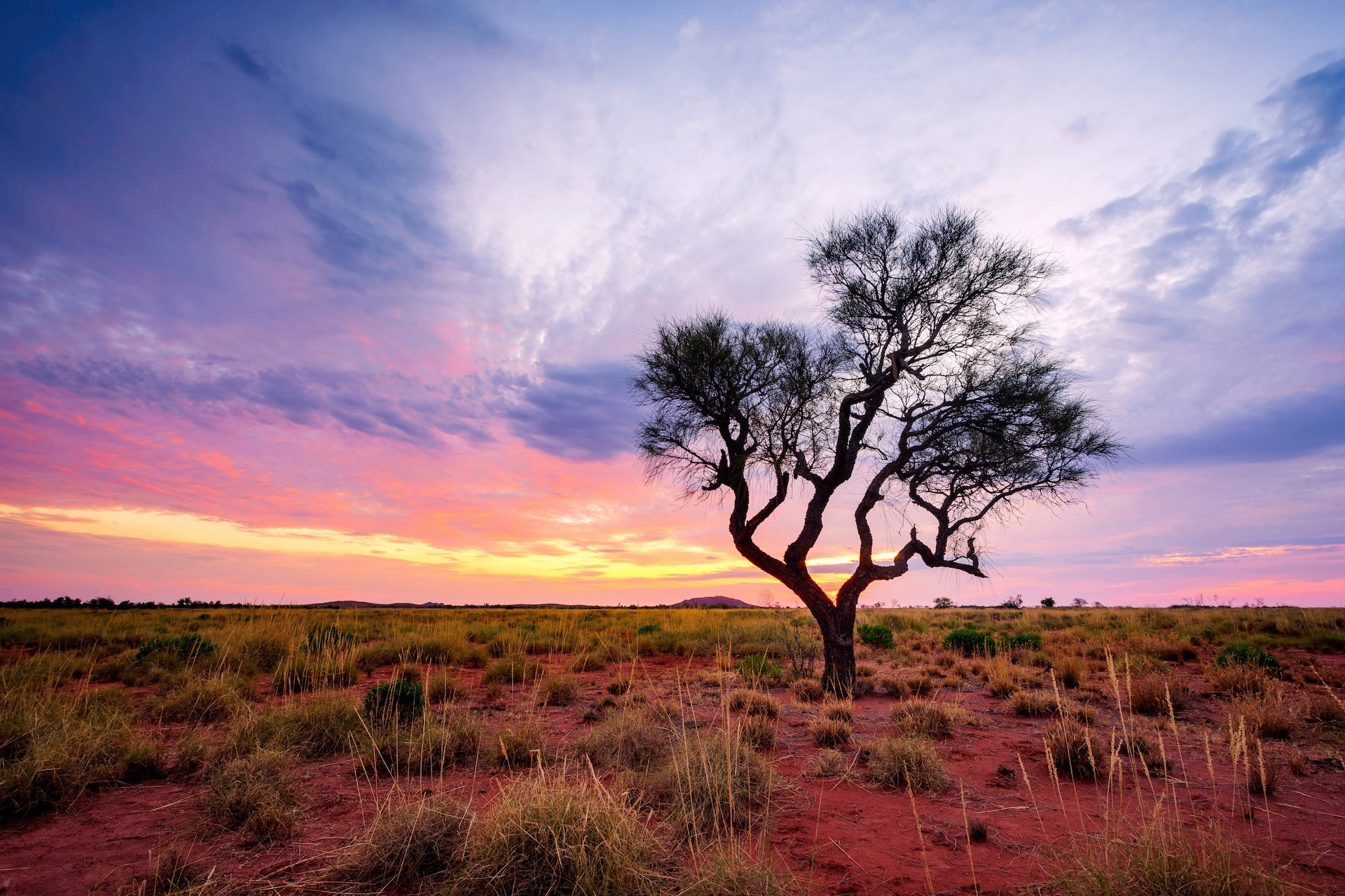 Australian outback landscape at sunset